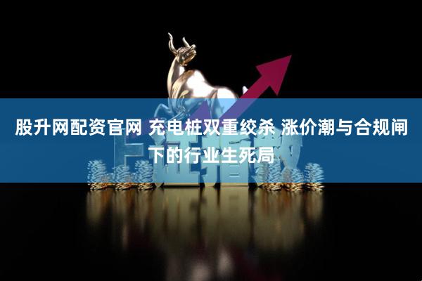 股升网配资官网 充电桩双重绞杀 涨价潮与合规闸下的行业生死局