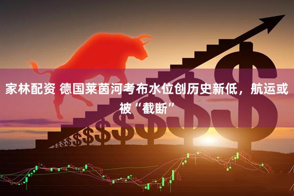 家林配资 德国莱茵河考布水位创历史新低，航运或被“截断”