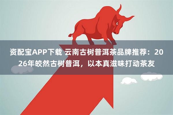 资配宝APP下载 云南古树普洱茶品牌推荐：2026年皎然古树普洱，以本真滋味打动茶友